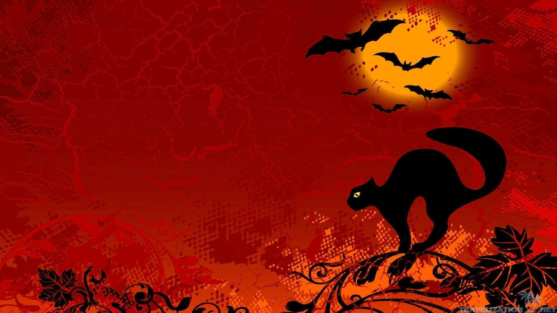 1920x1080 Halloween Cat Wallpaper, Desktop