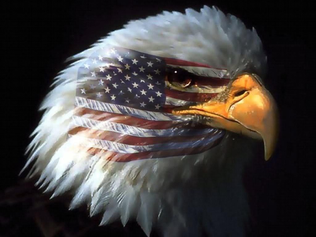 1030x770 Tarantula&;s Wallpaper: Patriotic Page American Eagles, Desktop