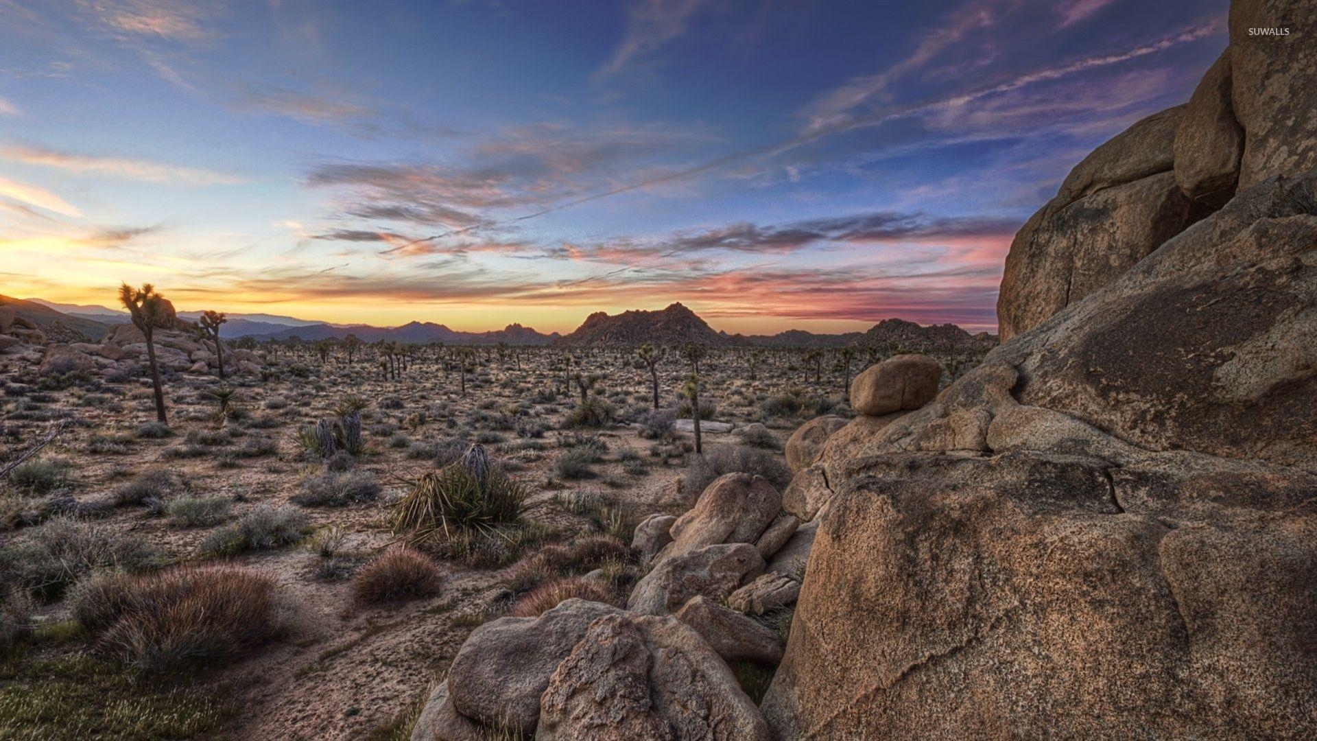 1920x1080 Joshua Tree National Park [7] wallpaper wallpaper, Desktop