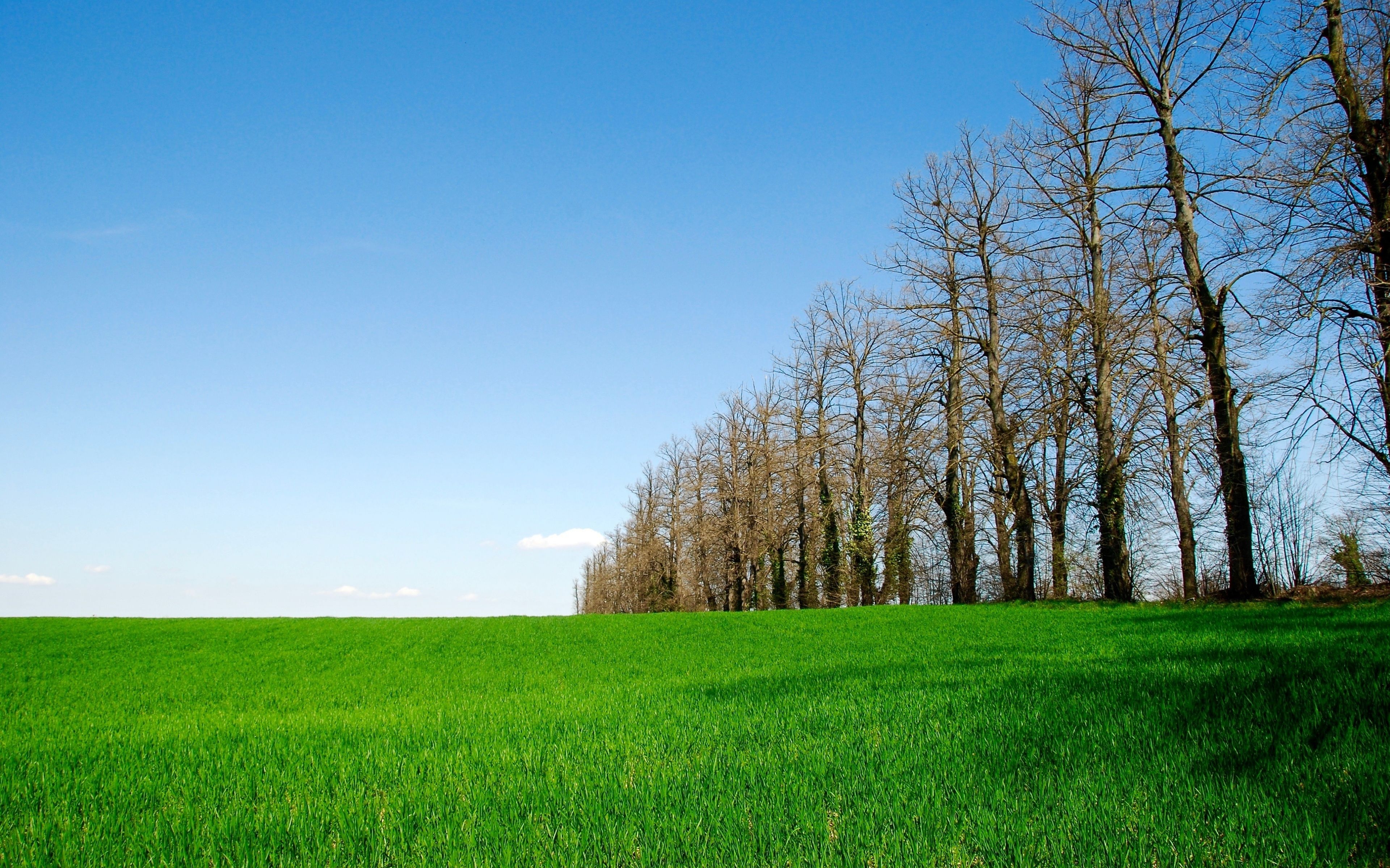 3840x2400 Download  wallpaper landscape, farm, sunny day, trees, 4k, ultra HD 16: widescreen,  HD image, background, 1846, Desktop