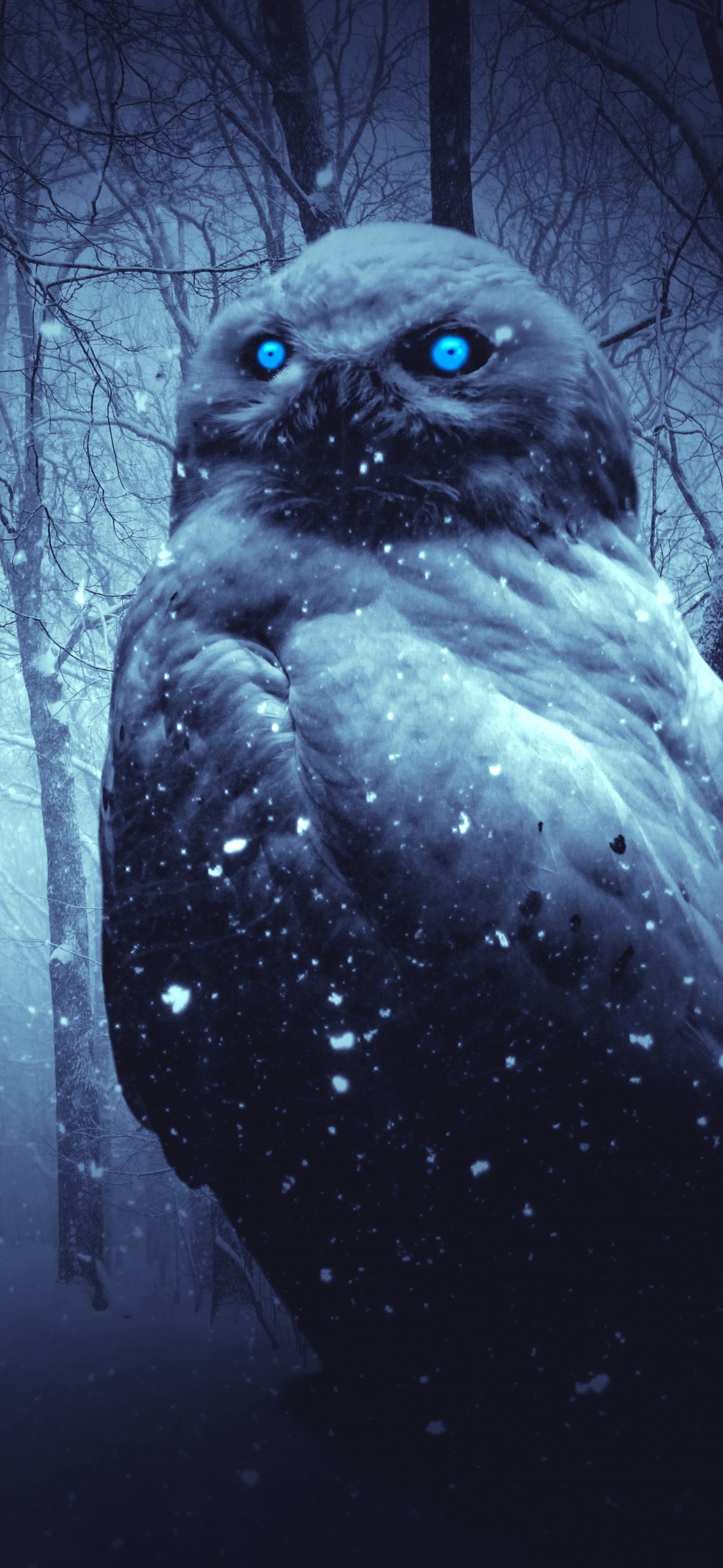 1180x2560 Owl Wallpaper 4K, Forest, Winter, Dark, Night, Phone