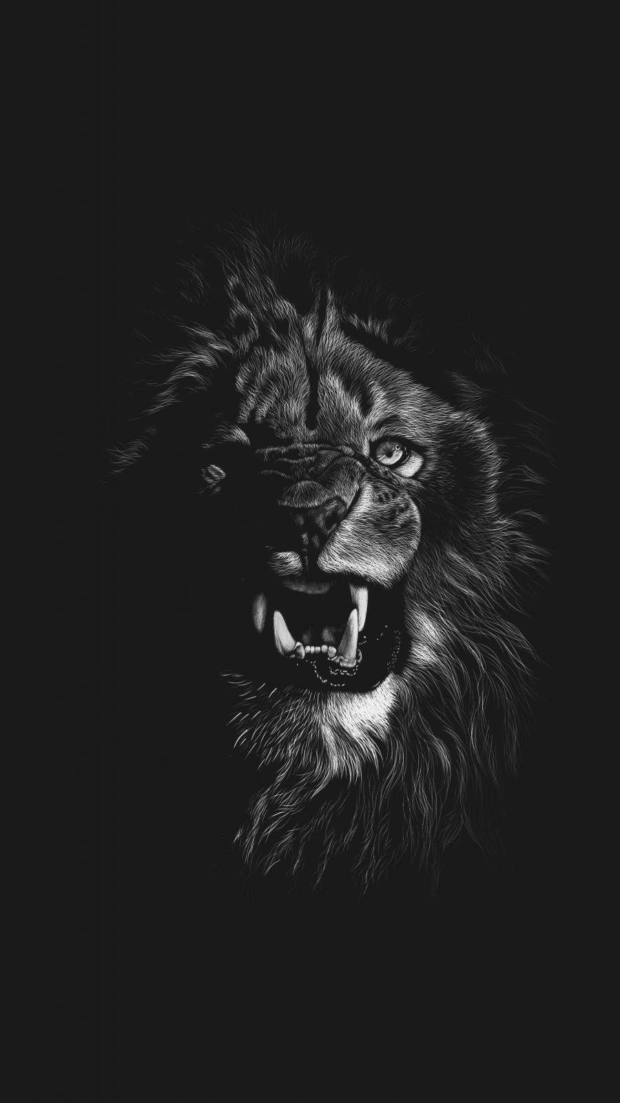 900x1600 Lion iPhone Wallpaper, HD Lion iPhone Background on WallpaperBat, Phone