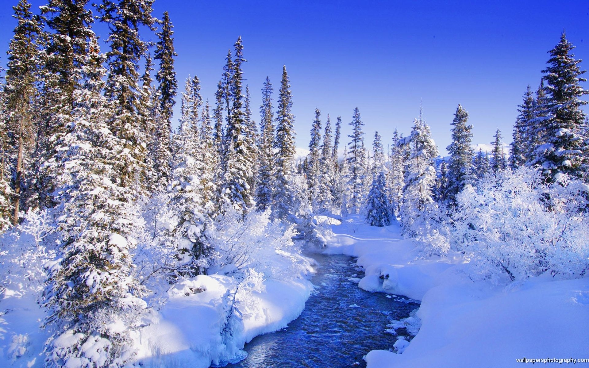 1920x1200 Winter Snow Scenes Wallpaper, Desktop