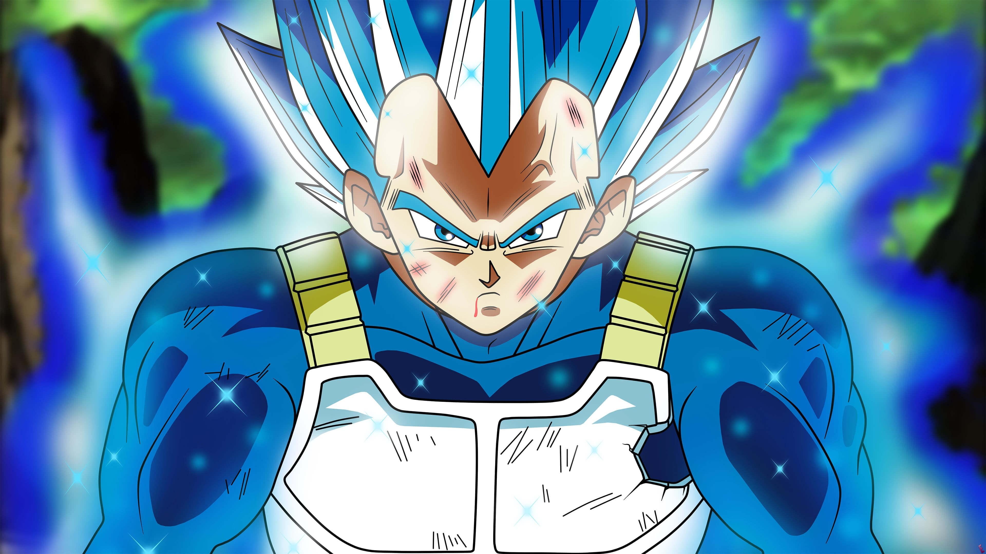 3840x2160 Dragon Ball Perfected Super Saiyan Blue Vegeta UHD 4K Wallpaper, Desktop