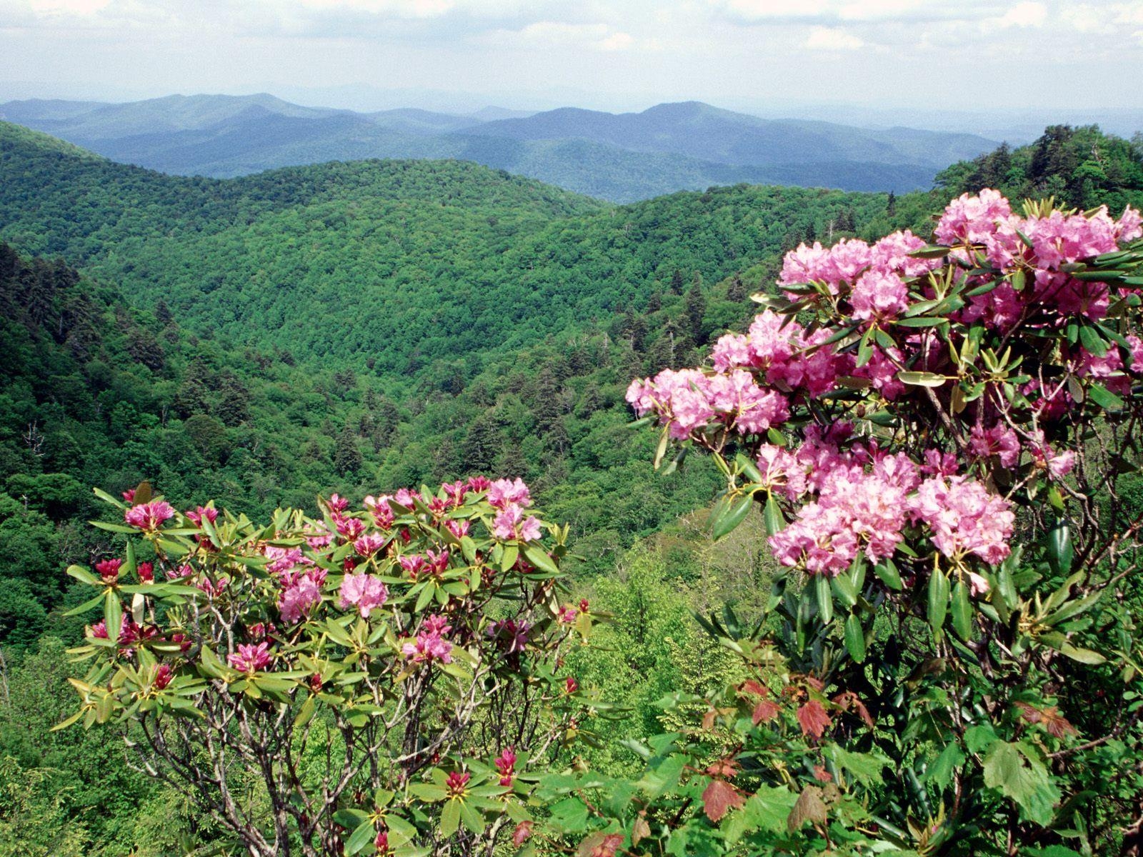 1600x1200 Blue Ridge Parkway wallpaper. Blue Ridge Parkway, Desktop