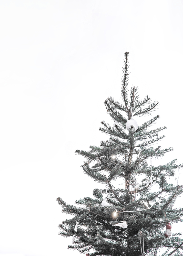 750x1060 minimalist xmas. Christmas tree wallpaper, Christmas tree wallpaper iphone, Wallpaper iphone christmas, Phone