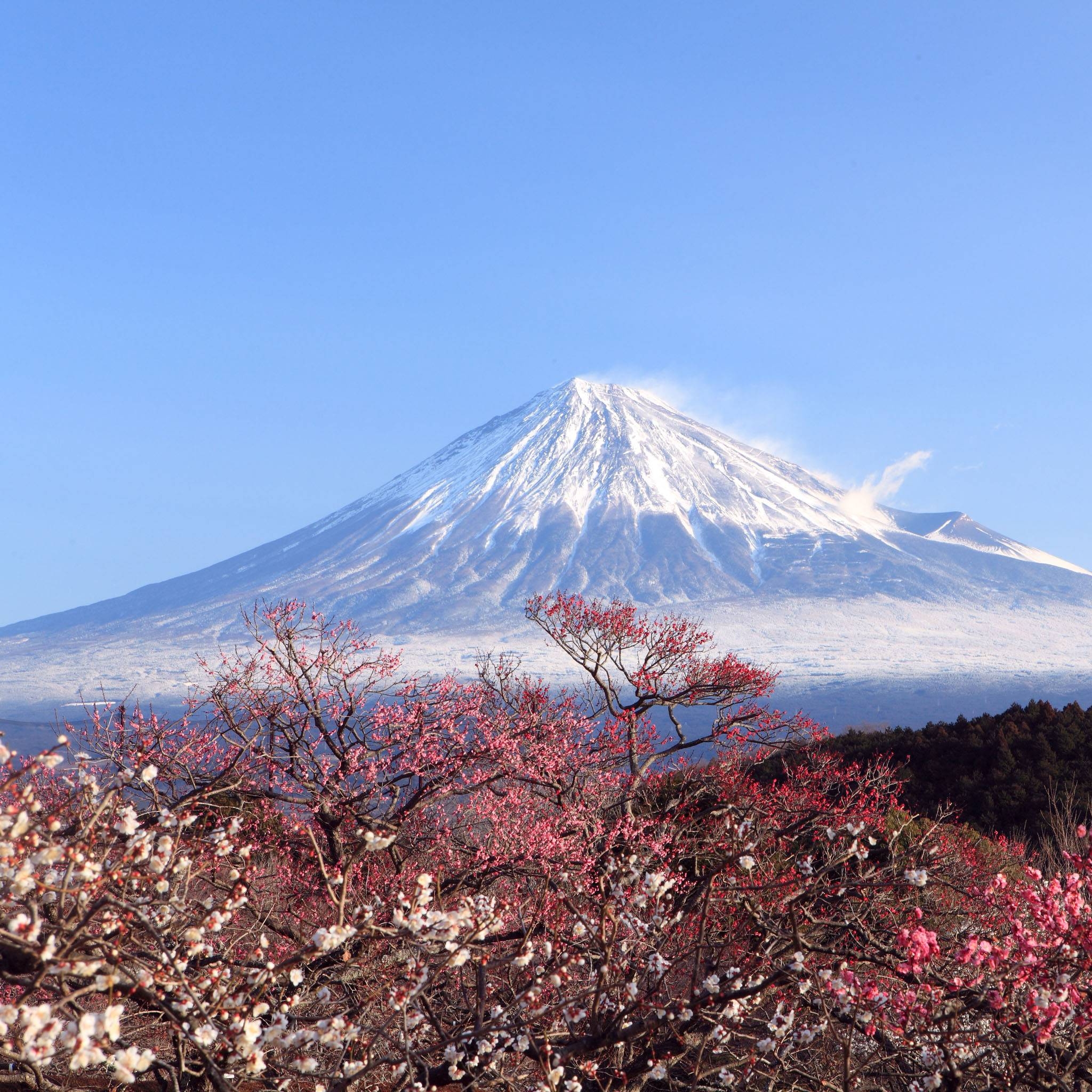 2050x2050 Japan Mount Fuji / HD iPad Wallpaper, Phone