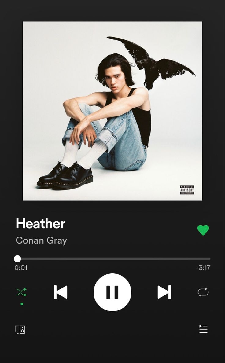 740x1190 ✰ recommended music ✰. Conan gray, Music album cover, Music album covers, Phone