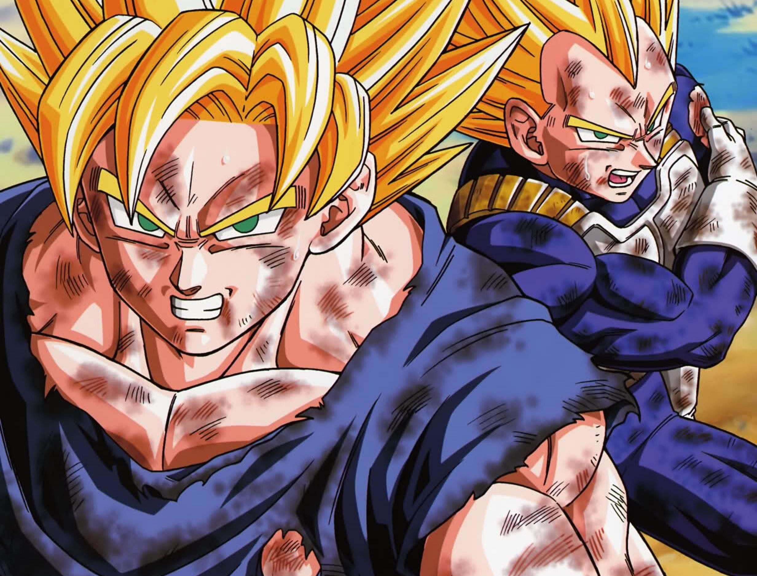 2470x1880 Dbz Wallpaper Goku and Vegeta, Desktop