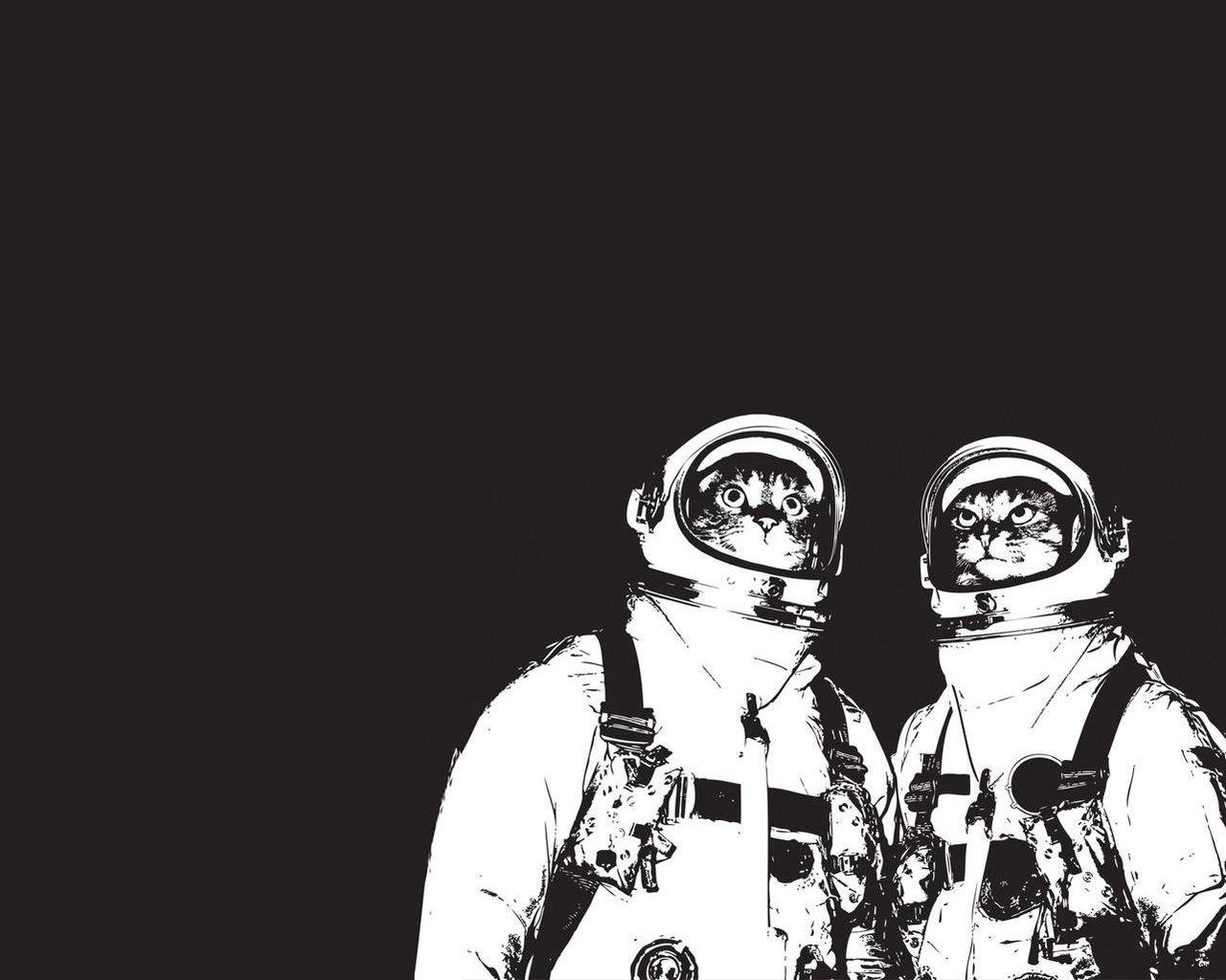 1280x1030 Download Coolest Astronaut Cat Wallpaper, Desktop