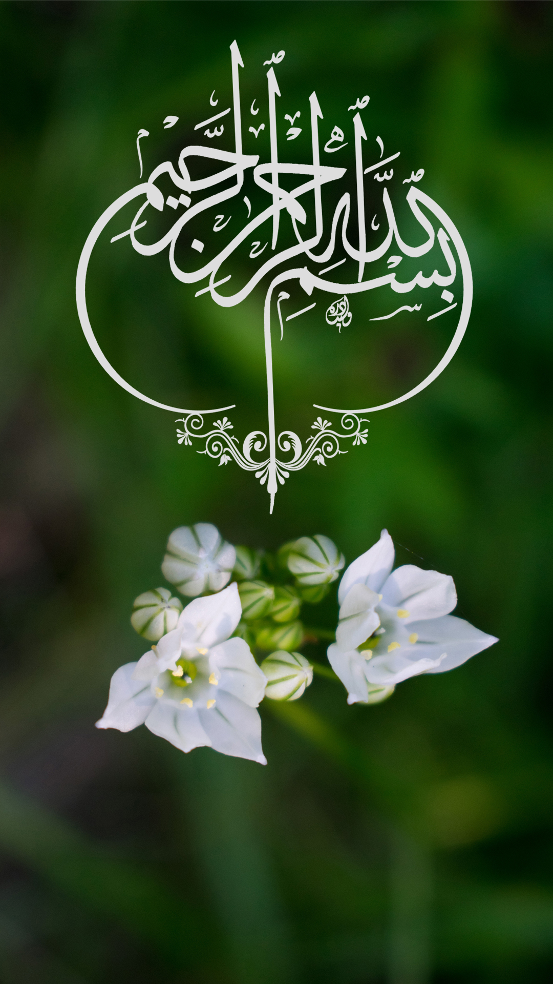 1080x1920 Phone Nature Wallpaper as Islamic Wallpaper for Mobile HD with Bismillah Wallpaper. Wallpaper Download. High Resolution Wallpaper, Phone