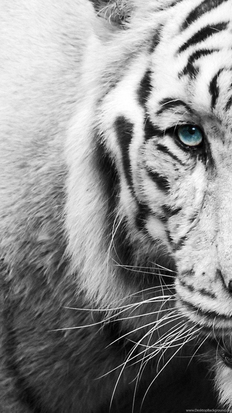 750x1340 White Tiger Wallpaper iPhone, Phone