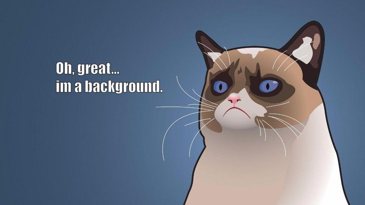 1200x680 Funny Meme Wallpaper HD Desktop background, Desktop