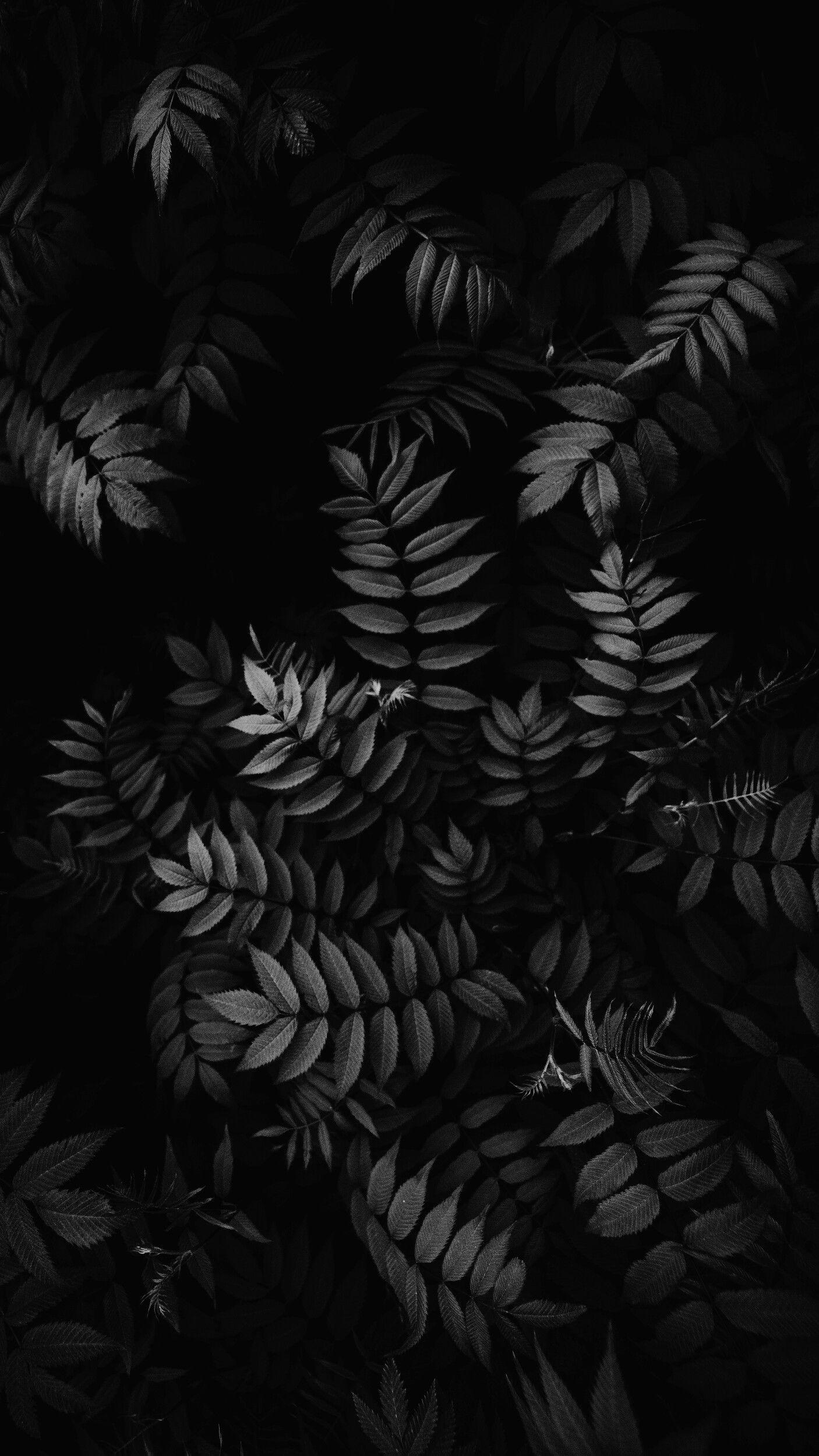 1410x2500 Black, Leaf, Darkness, Pattern, Branch, Botany in 2019, Phone