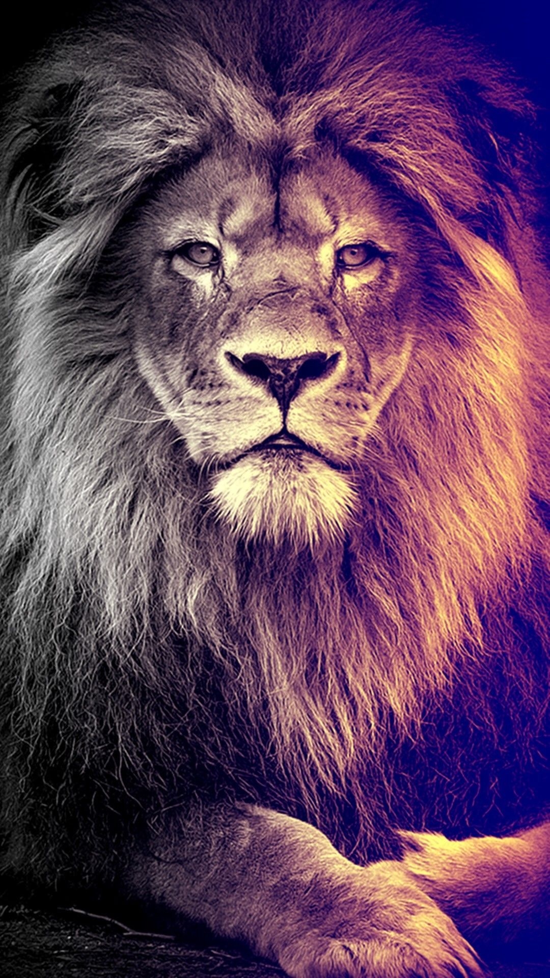 1080x1920 Zodiak Leo Wallpaper, Phone