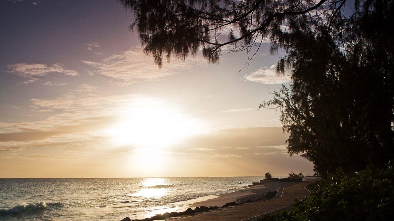 1370x770 Beaches: Nuku Vavau Tonga Ocean Paradise Island Green Palms Beach, Desktop