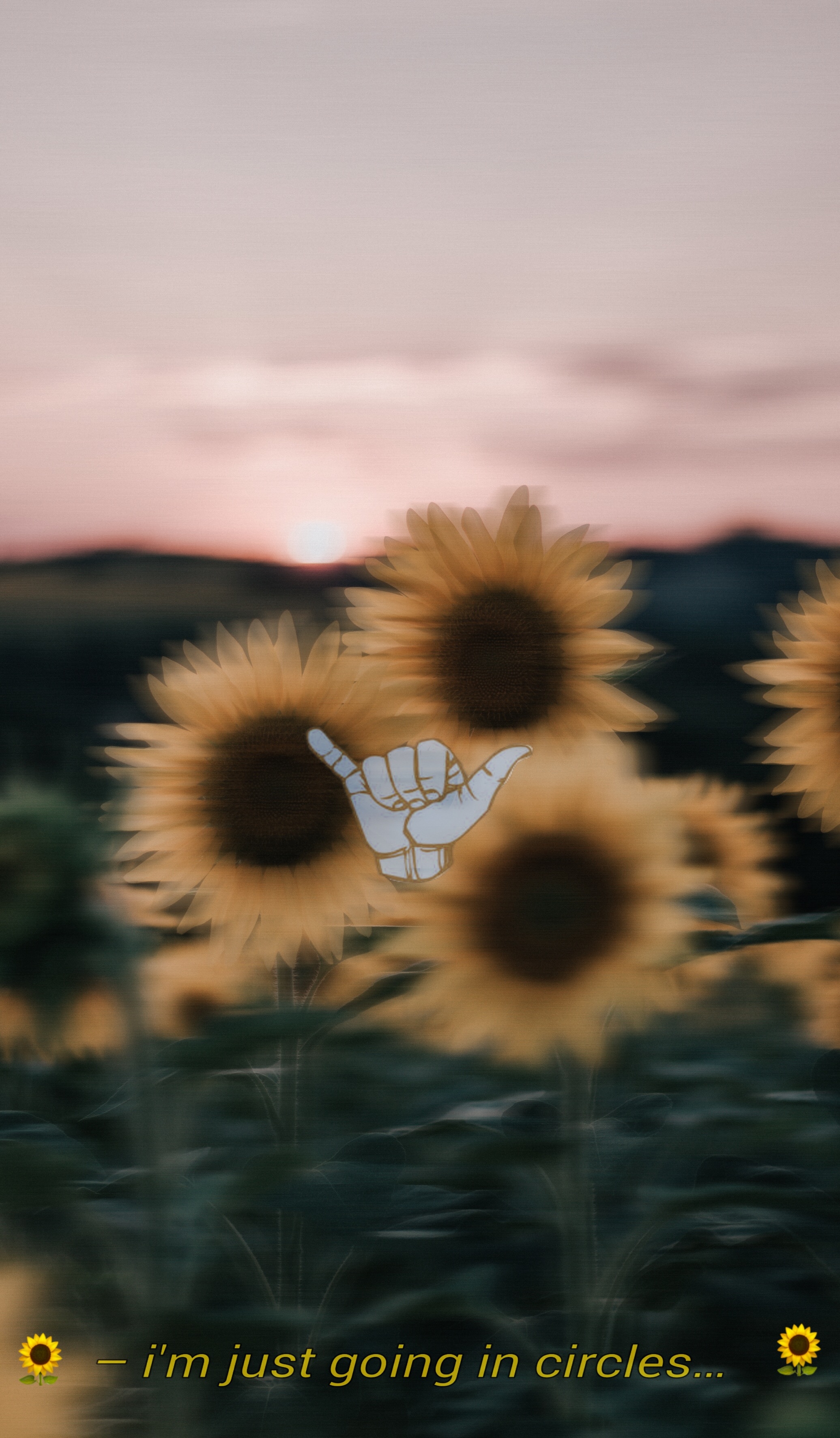 2080x3550 freetoedit wallpaper aesthetic sunflowers subtitles, Phone