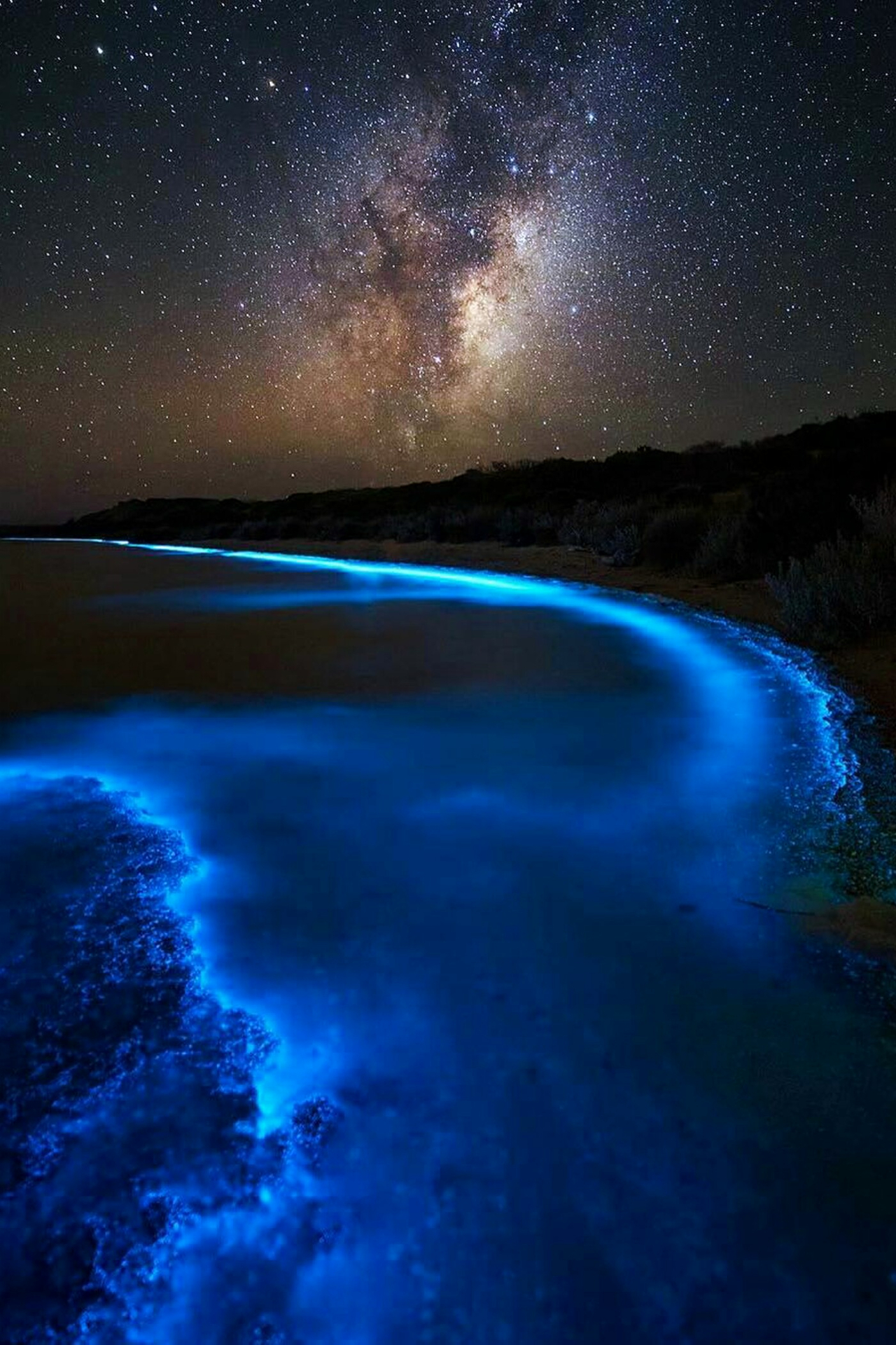 1280x1920 hellchildjavo: “Bioluminescent Bay by James Garlick ”, Phone