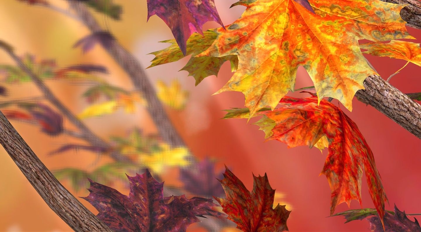 1440x800 Autumn Live Wallpaper for Android, Desktop