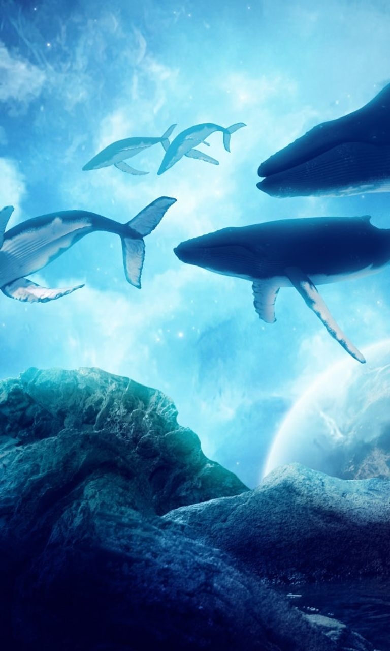 770x1280 baleias. Marine mammals, Sea life wallpaper, Whale, Phone