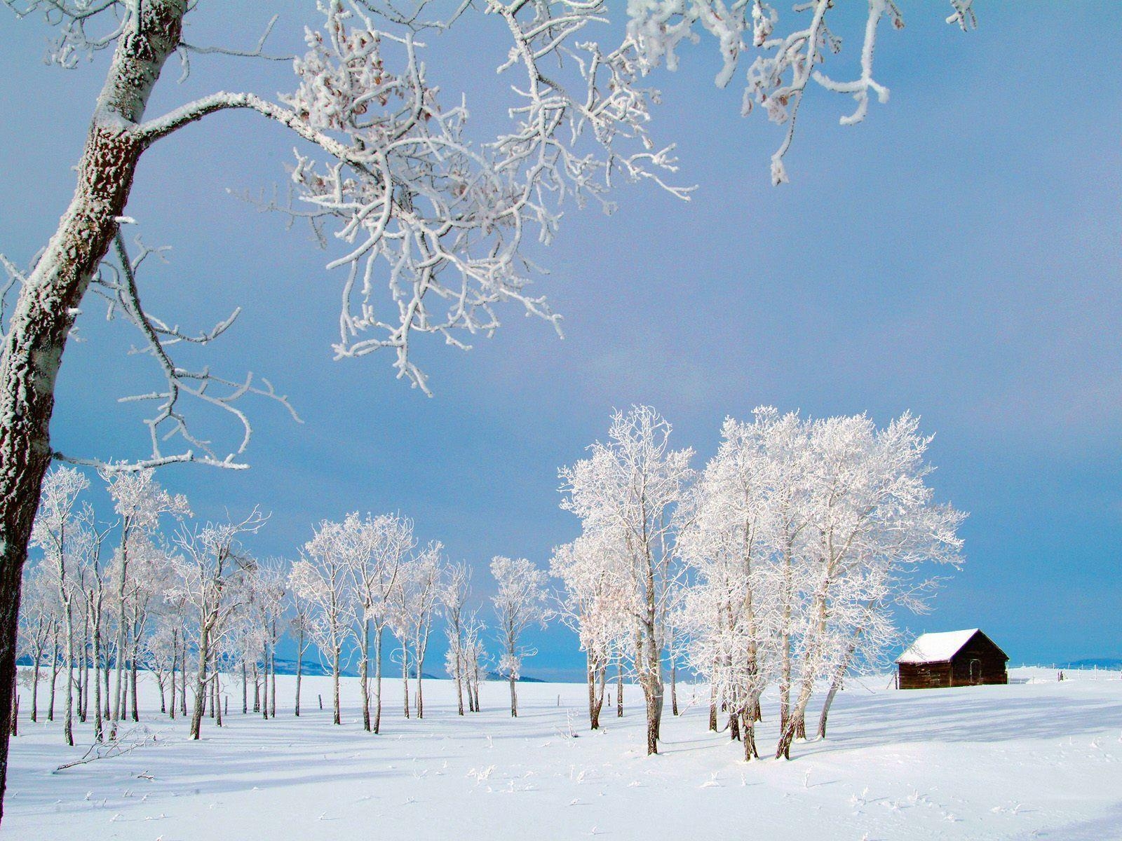 1600x1200 Winter scene wallpaper, Desktop