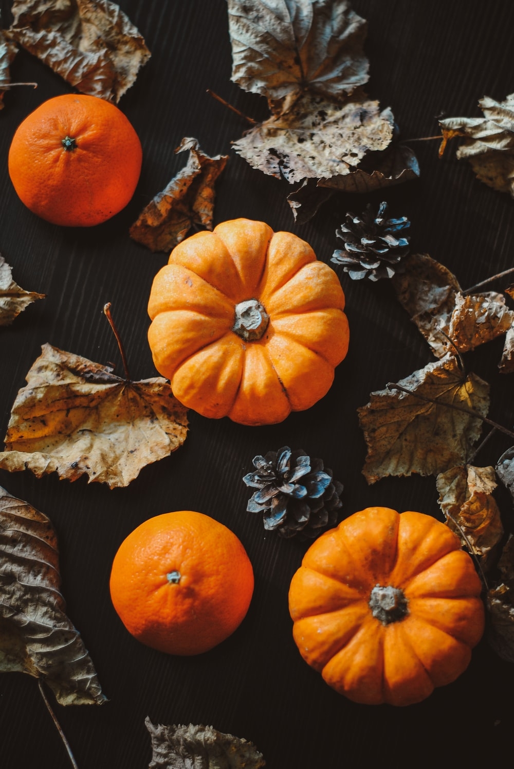 1000x1500 Halloween Wallpaper: Free HD Download [HQ], Phone