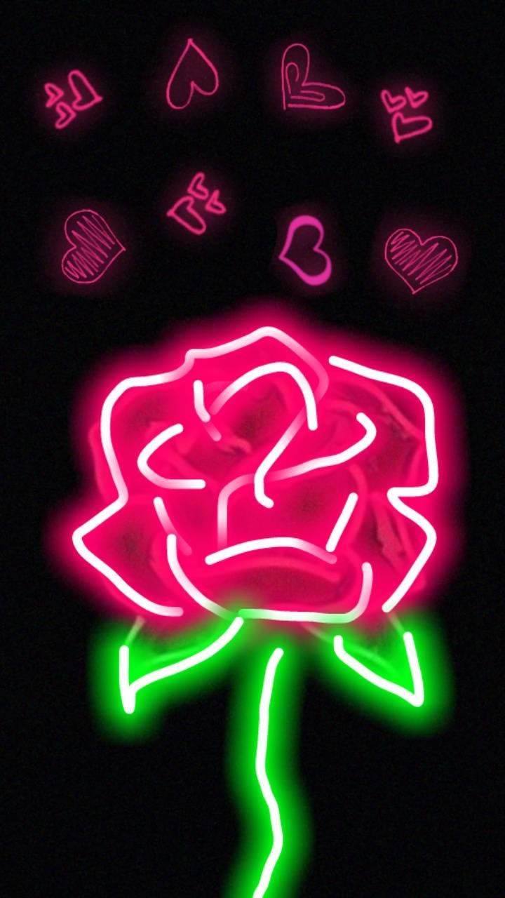 720x1280 rose light wallpaper, Phone