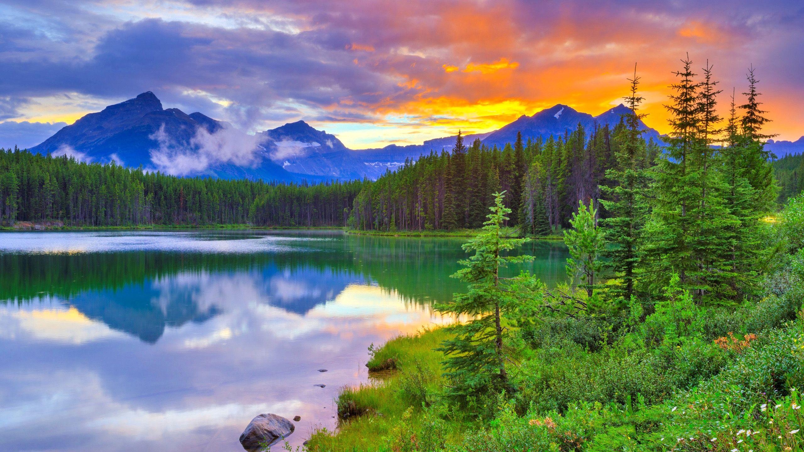 2560x1440 Wallpaper Of Herbert Lake, Banff National Park, Alberta, Lake In Banff National Park Wallpaper & Background Download, Desktop