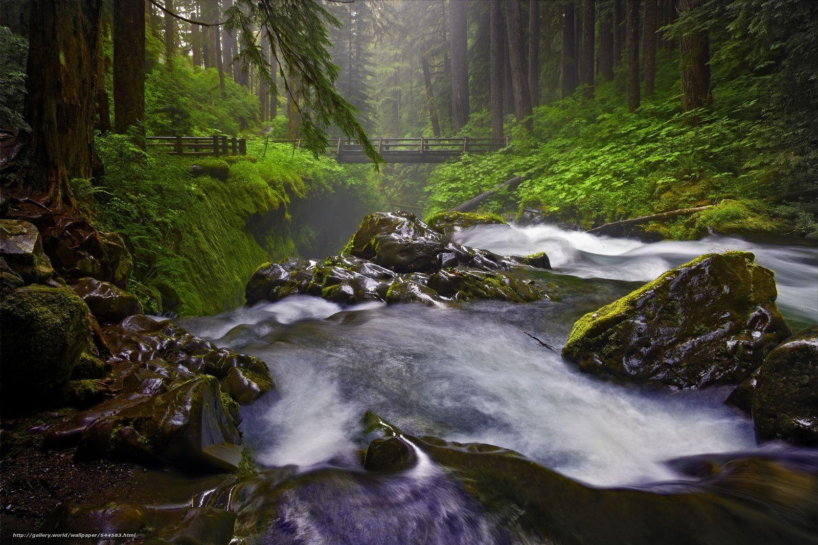 1600x1070 Download wallpaper Sol Duc Falls, Olympic National Park, Desktop