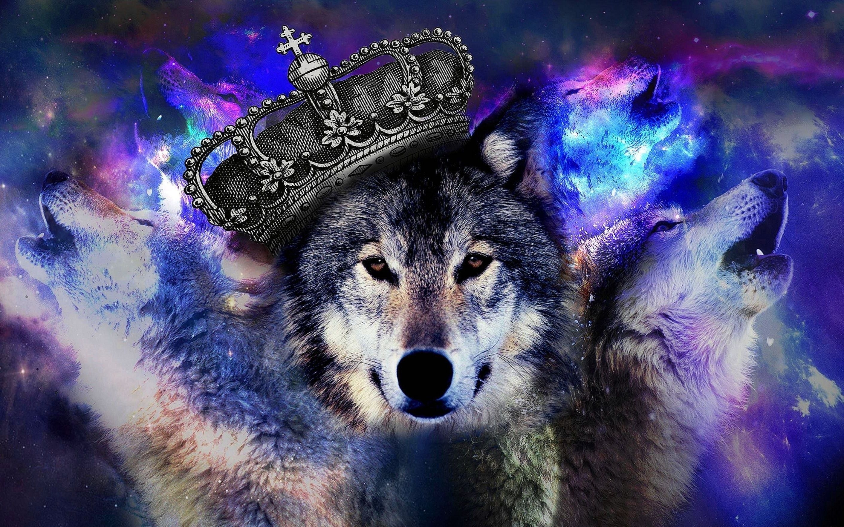 2830x1770 Cool Blue Wolf Wallpaper #Cool #Blue #Wolf #Wallpaper. Wolf wallpaper, Galaxy wolf, Anime wolf, Desktop