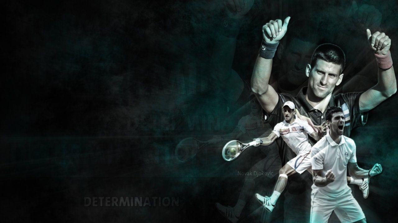 1280x720 Novak Djokovic Head Wallpaper 69640, Desktop