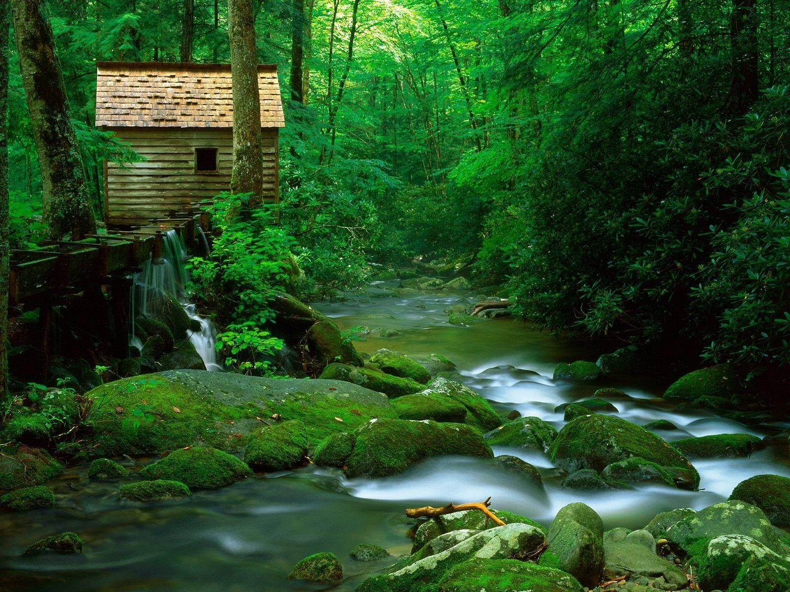 1600x1200 Forest Watermill Wallpaper Rivers Nature Wallpaper in jpg, Desktop