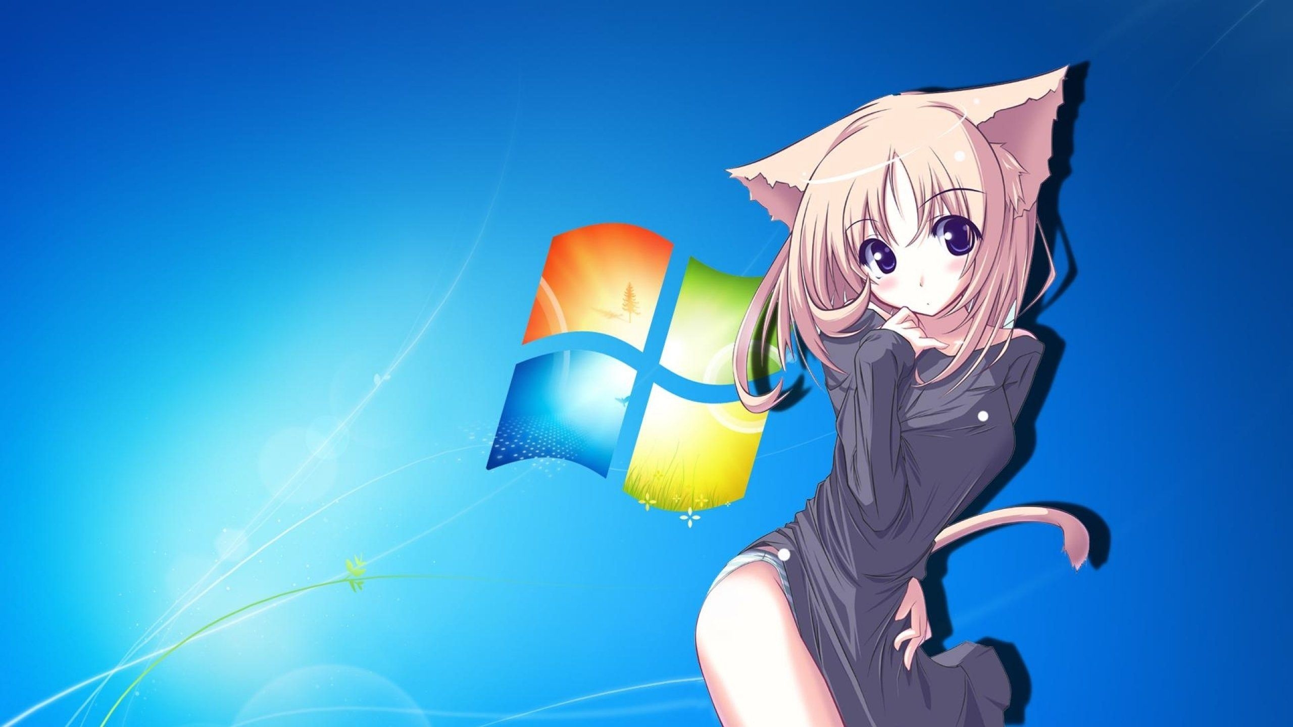 2560x1440 anime, Cat, Girl, With, Windows Background Wallpaper HD, Desktop