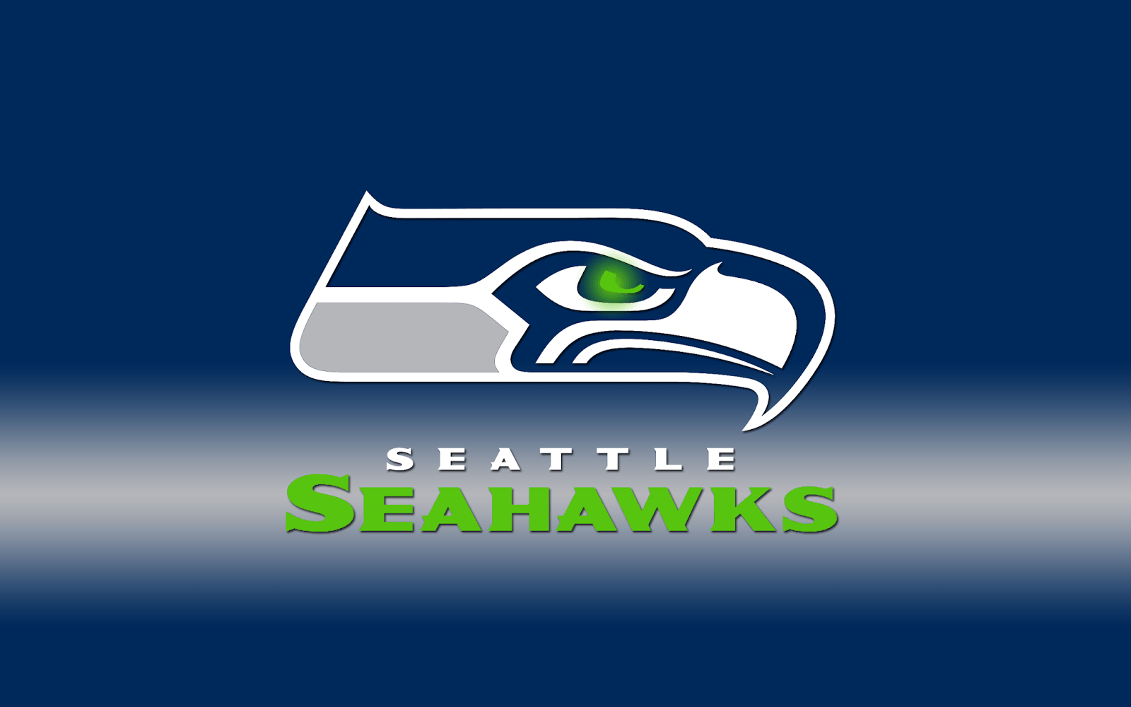 1600x1000 Seattle Seahawks Wallpaper Background 55974 4904x3324 px, Desktop