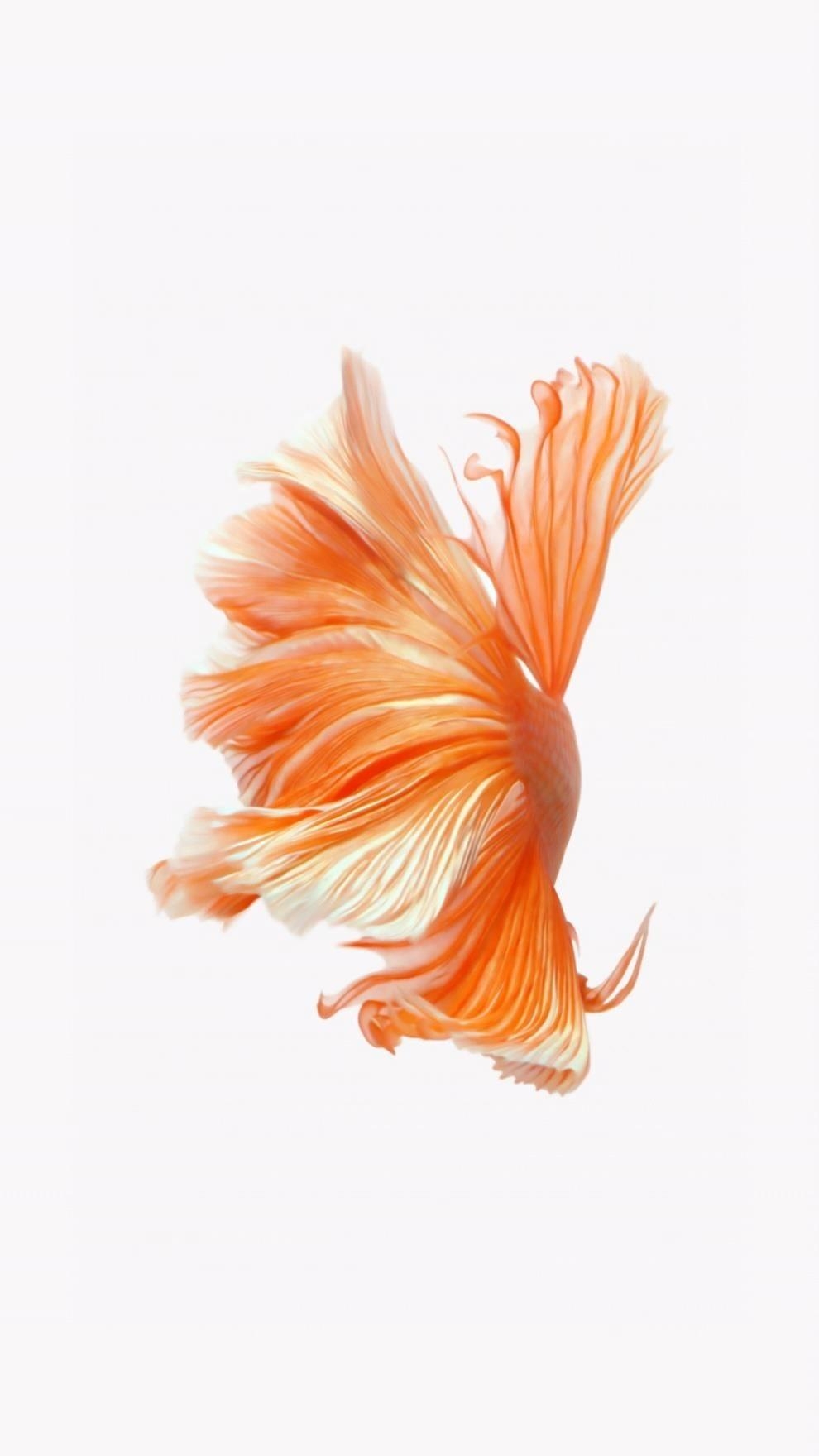 990x1760 How to Get Apple's Live Fish Wallpaper Back on Your iPhone, Phone