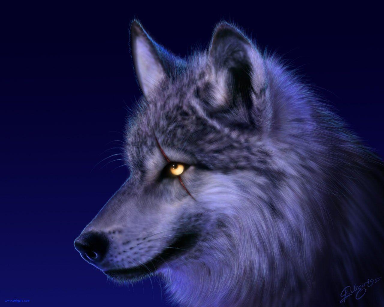 1280x1030 Wolf HD Wallpaper and Background Image, Desktop