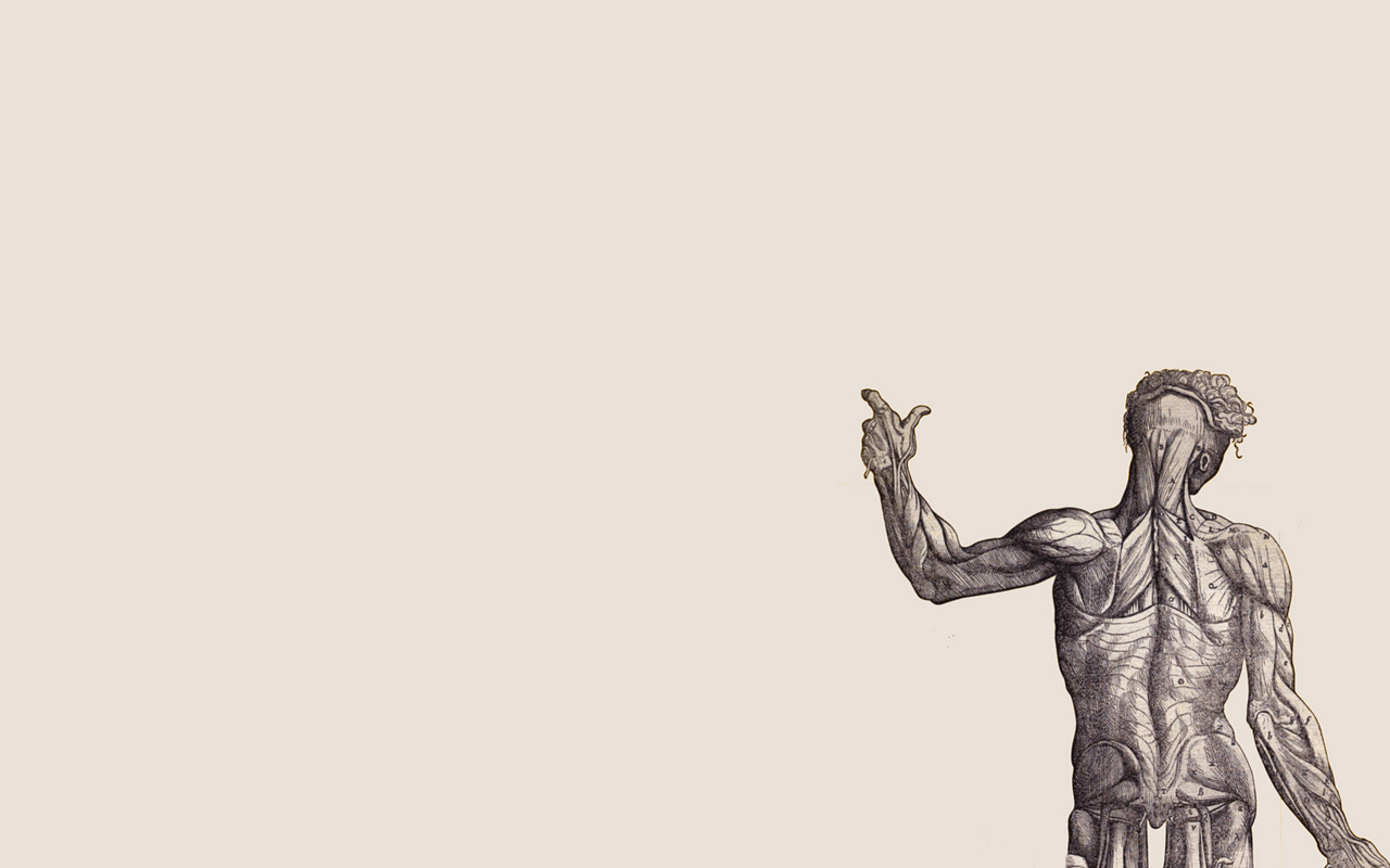 1280x800 Human Anatomy Wallpaper, Desktop