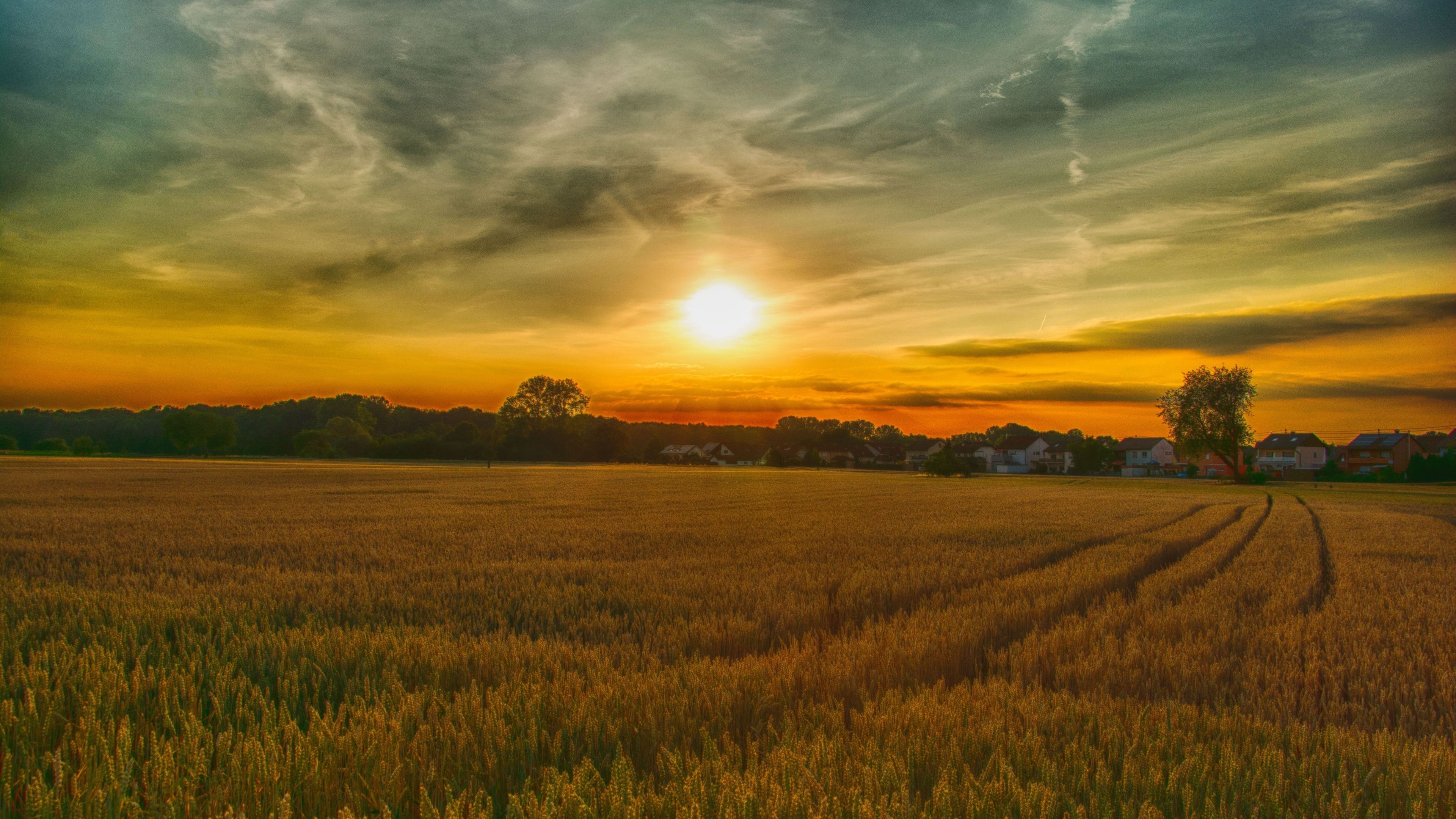 3840x2160 Download  wallpaper summer, sunset, farm, landscape, nature, 4k, uhd 16: widescreen,  HD image, background, 18298, Desktop