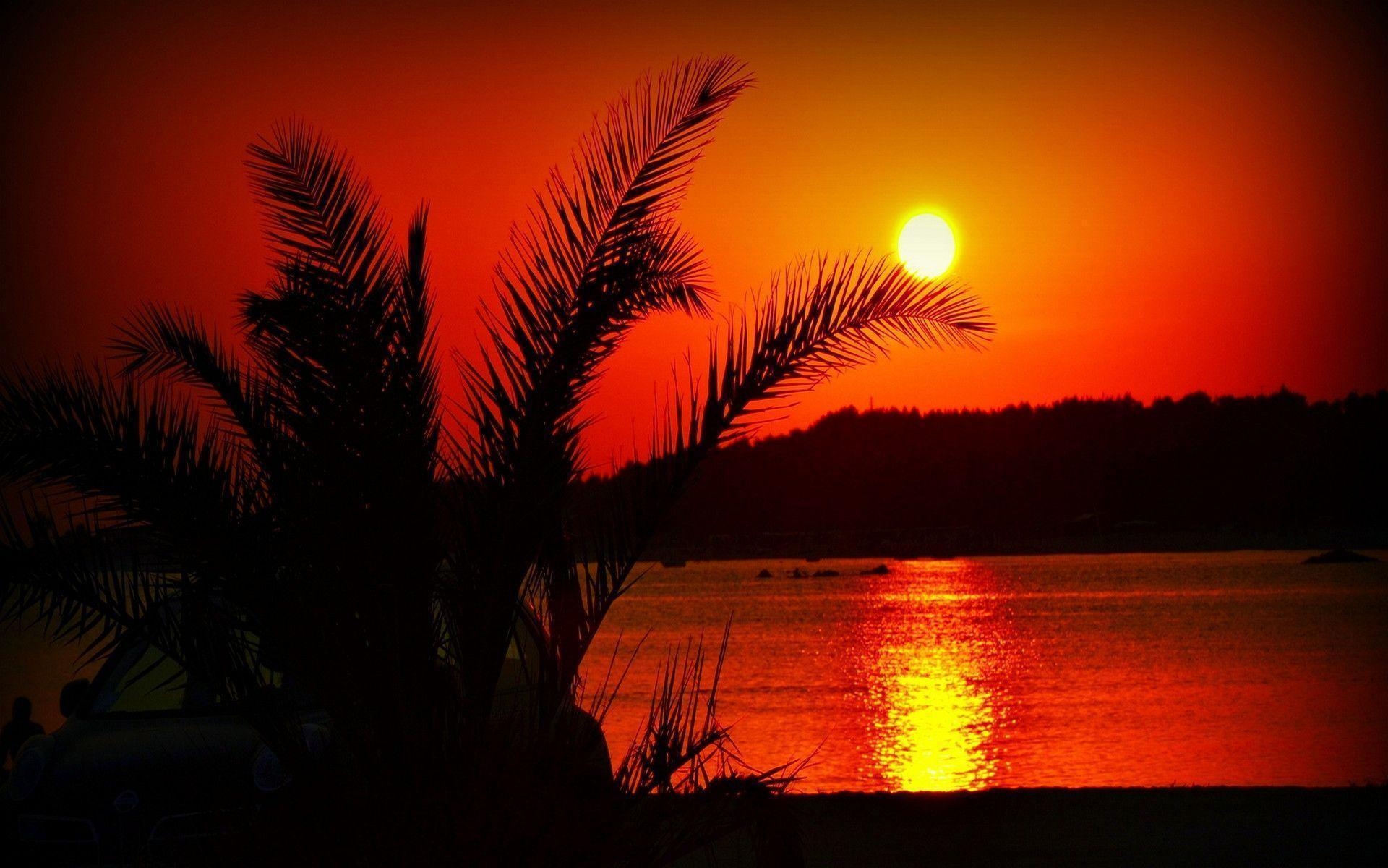 1920x1200 Summer Sunset Wallpaper 23 Background. Wallruru, Desktop