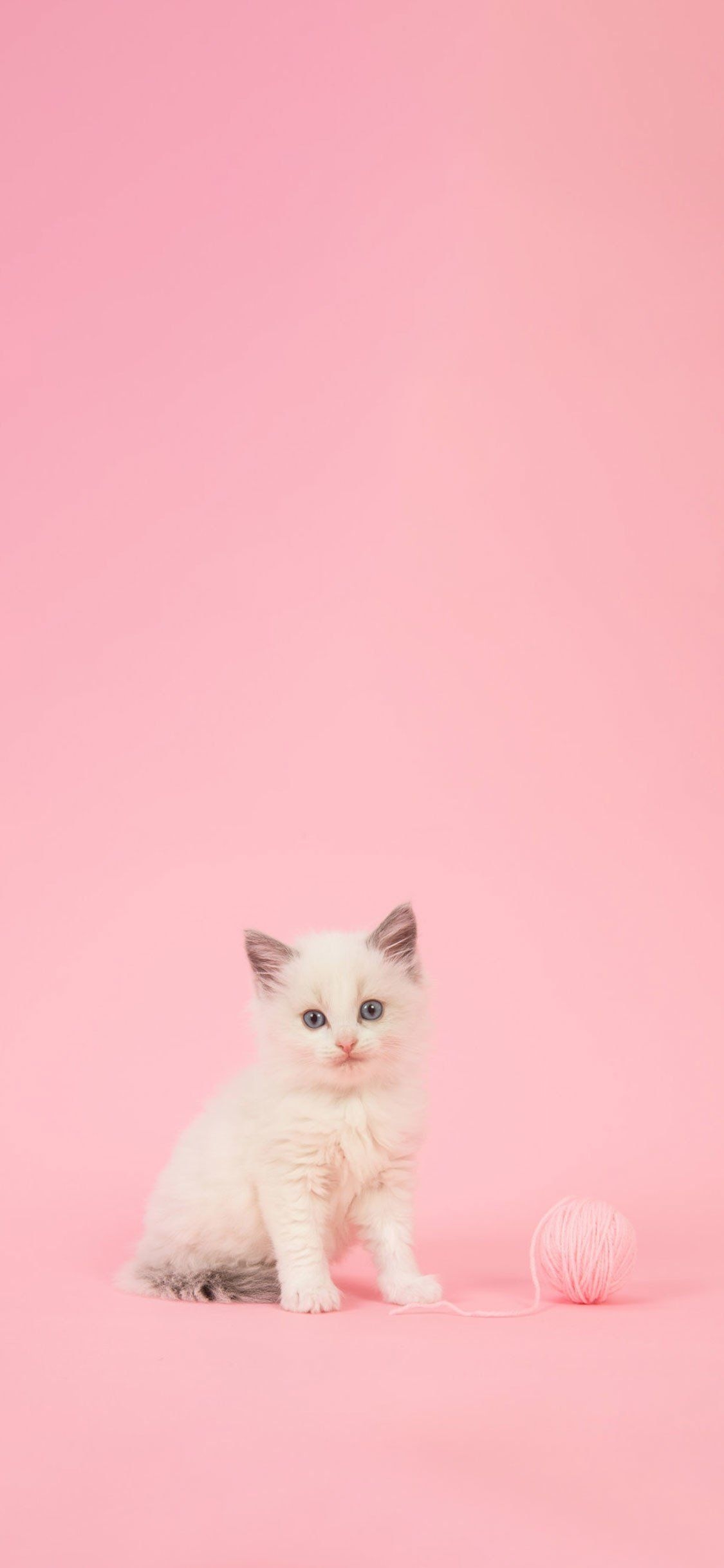 1130x2440 Cute Funny Tumblr Wallpaper, Phone