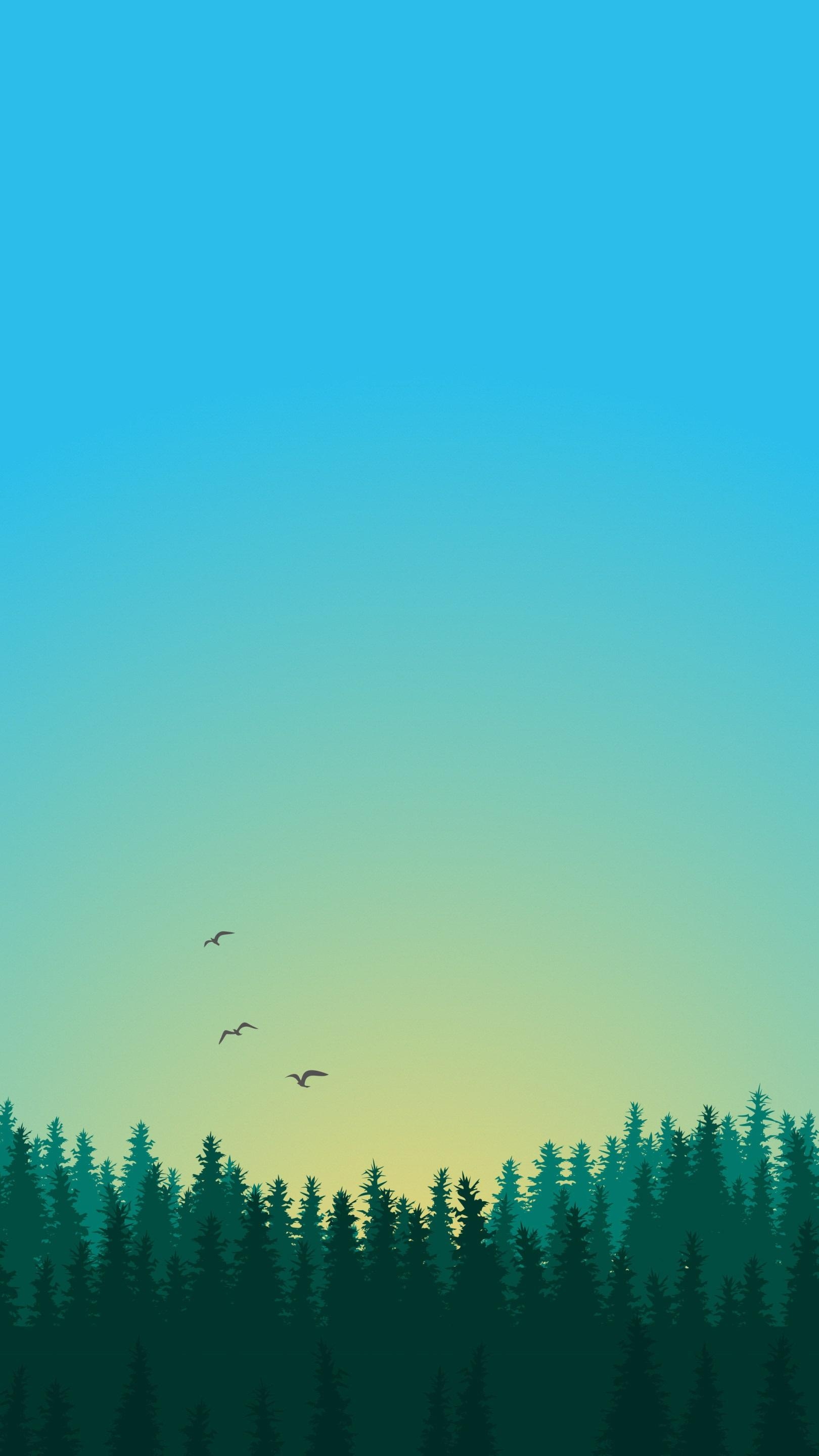 1620x2880 Android Wallpaper Gallery Wallpaper For Android, Phone