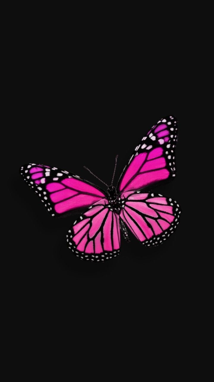 720x1280 Black and Pink Butterfly Wallpaper Free Black and Pink, Phone