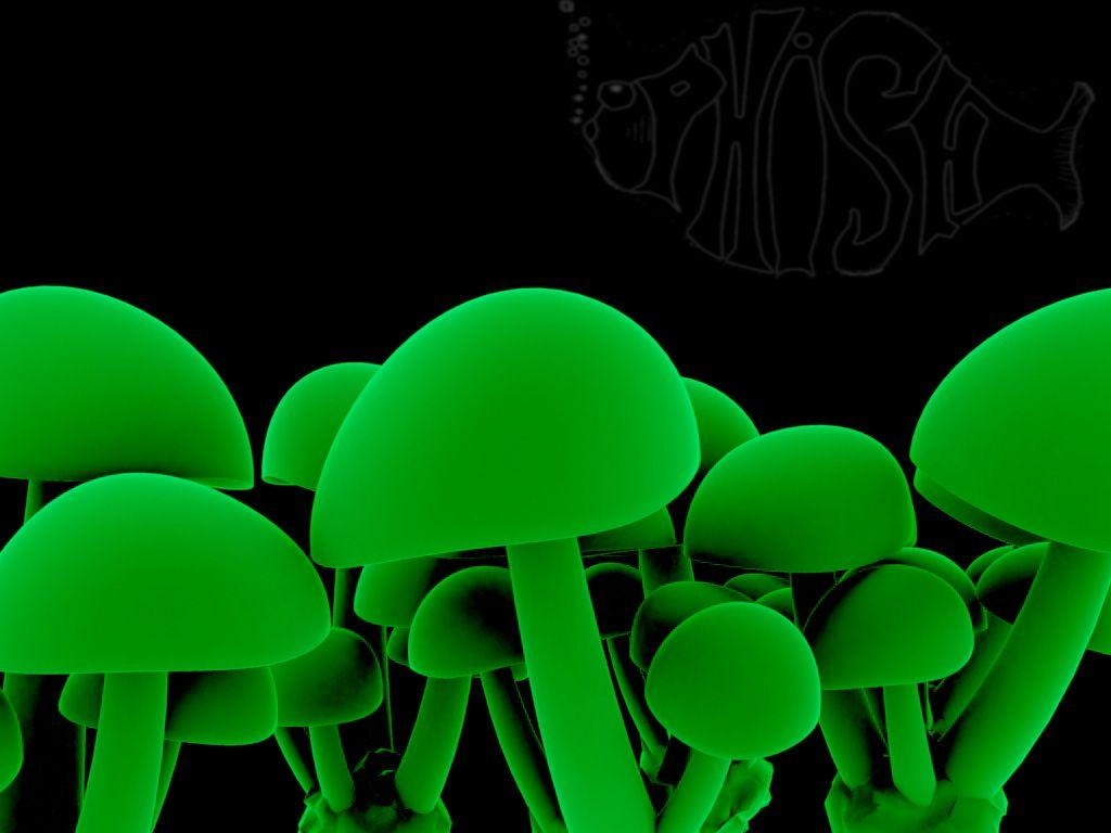 1030x770 sphyco shrooms, Desktop