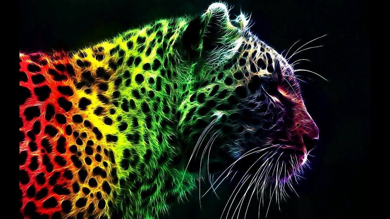 1280x720 Bible Study.June 2020. Animal wallpaper, Leopard wallpaper, Rainbow art, Desktop