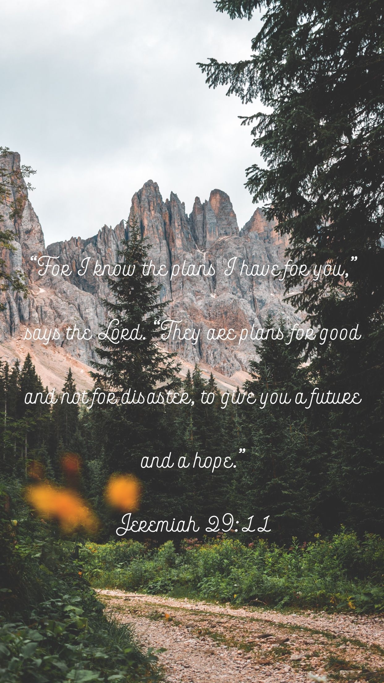 1250x2210 iPhone 11 Wallpaper: Jeremiah 29 11 Wallpaper iPhone, Phone