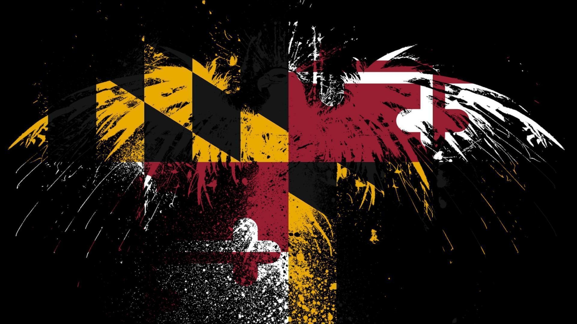 1920x1080 Eagles hawk flags usa maryland state wallpaper, Desktop