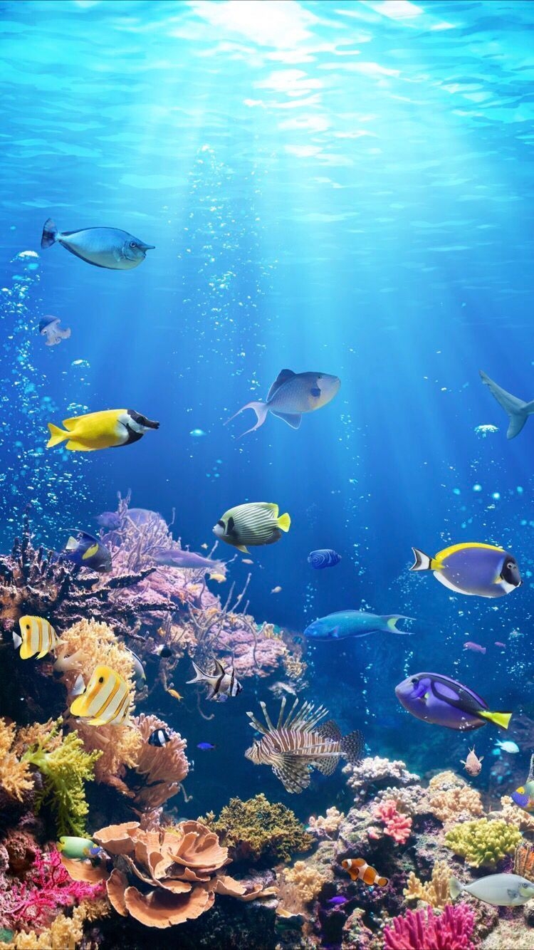 750x1340 Marine Biology Wallpaper Free Marine Biology Background, Phone