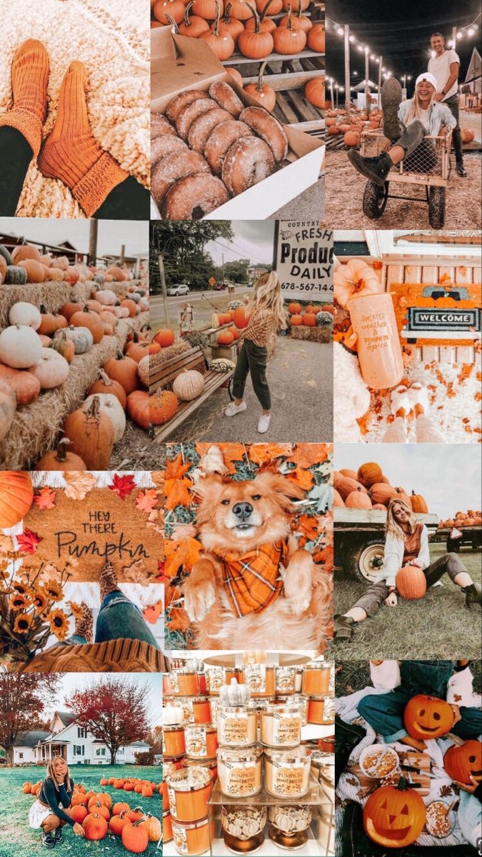 680x1200 cute fall wallpaper #fall #wallpaper #cute #collage #puppies #pumpkins. Fall wallpaper, Cute fall wallpaper, Boho wallpaper, Phone