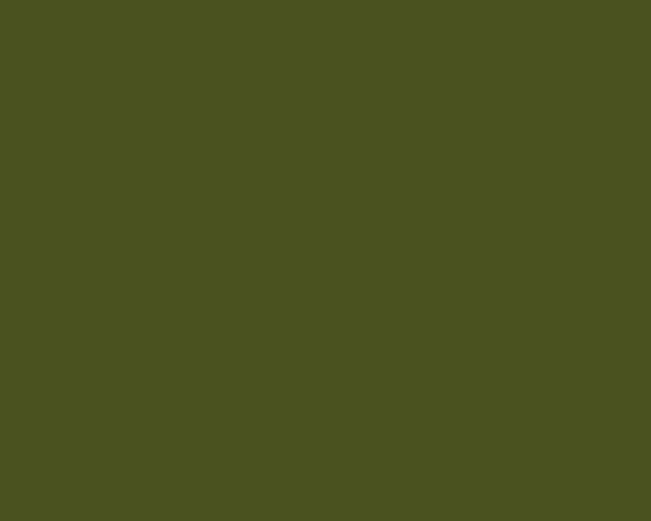1280x1030 Army Green Solid Color Background, Desktop