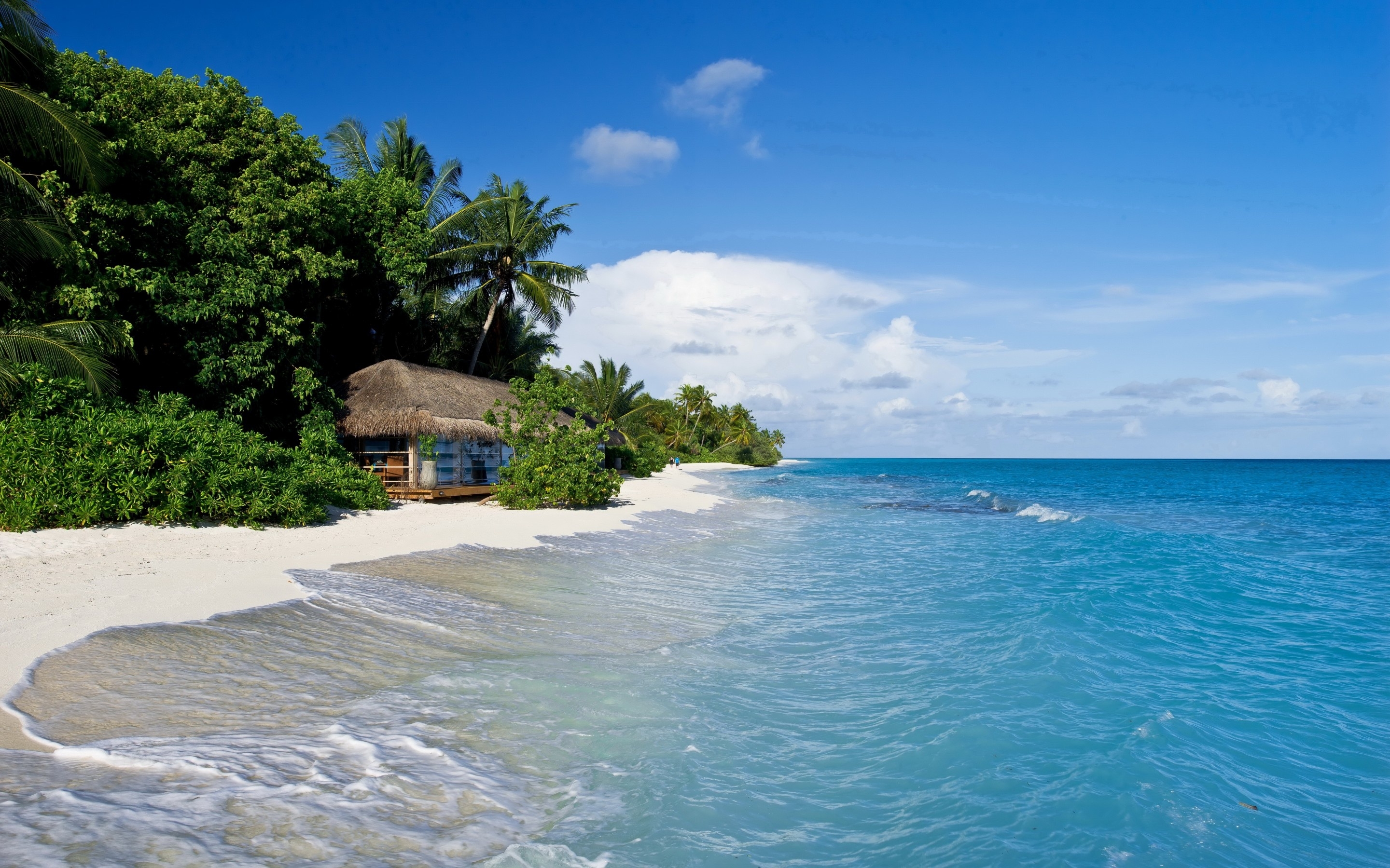 2880x1800 Wallpaper Kuramathi, Maldives, tropics, beach, sand, palm trees, Desktop